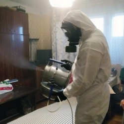 Дезинфекция от клопов в Бахчисарае