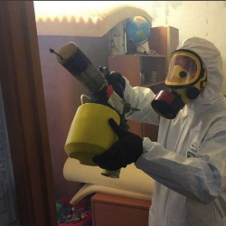 Уничтожение клопов в квартире. Бахчисарай